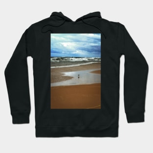 Lone Gull Hoodie